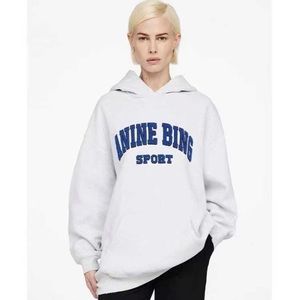 Anine Bing Tyler Hoodie, mint condition, small, oversized fit